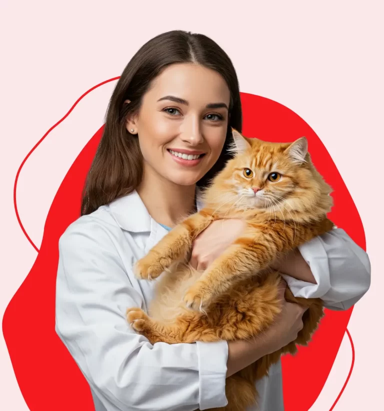 dentista-gato-aguas-claras (2)